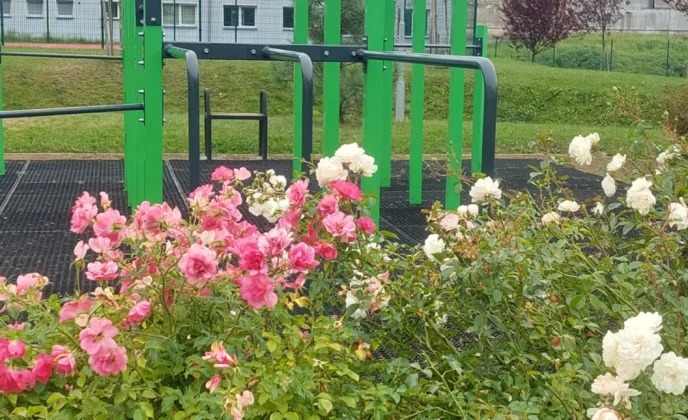 Domov mládeže - VOŠ, SPŠ automobilní a technická