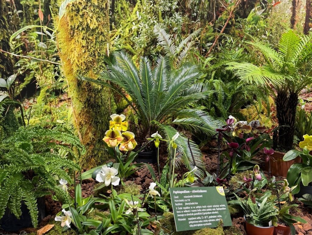 VL1 v Jihočeském muzeu - VOŠ, SPŠ automobilní a technická